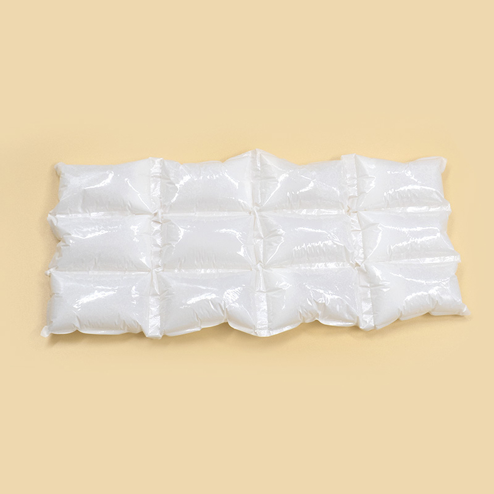 24 cubes de gel de glace froid Boîte réutilisable en plastique Bloc de glace en brique
